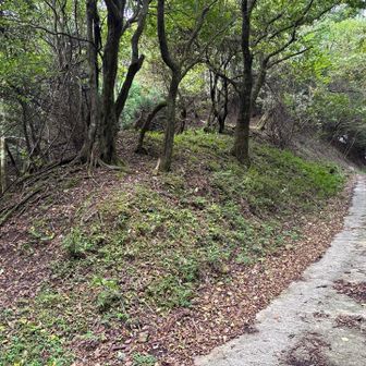 大黒山を目指す