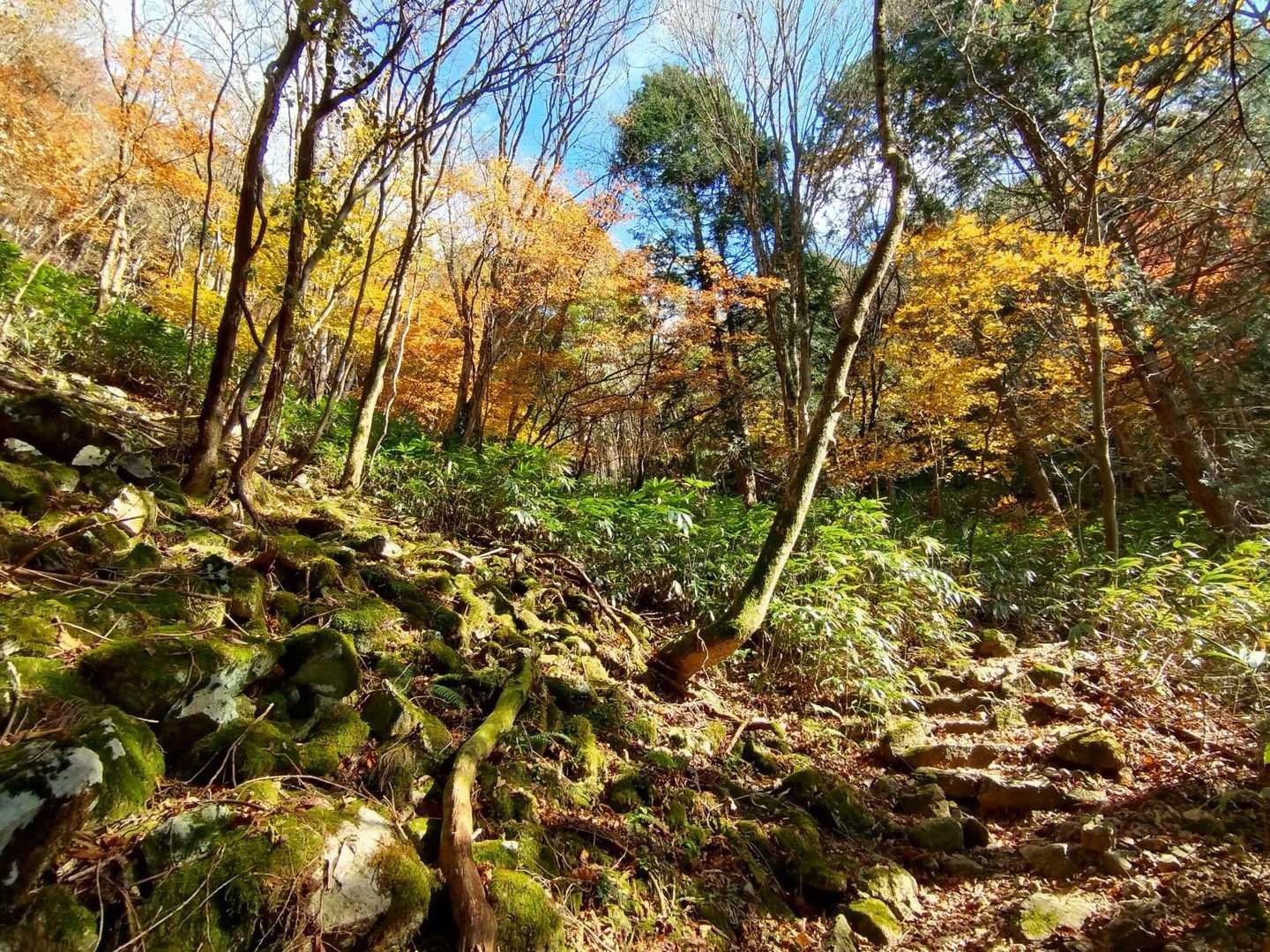 峠までもう一息の所。