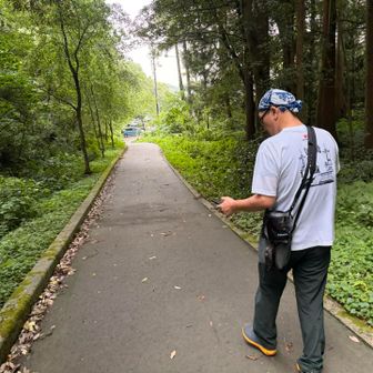 途中で抜きつ抜かれつしてた方。
お花男子風