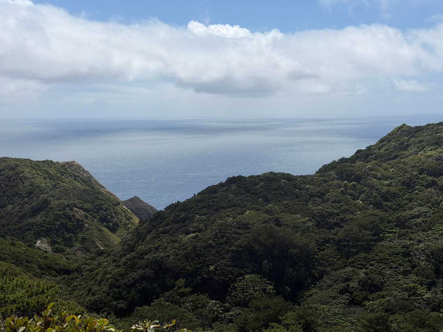 衝立山 往復コースの写真