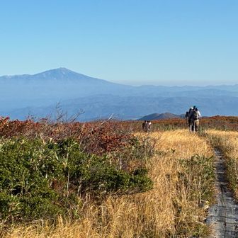 月山八合目弥陀ヶ原にて
