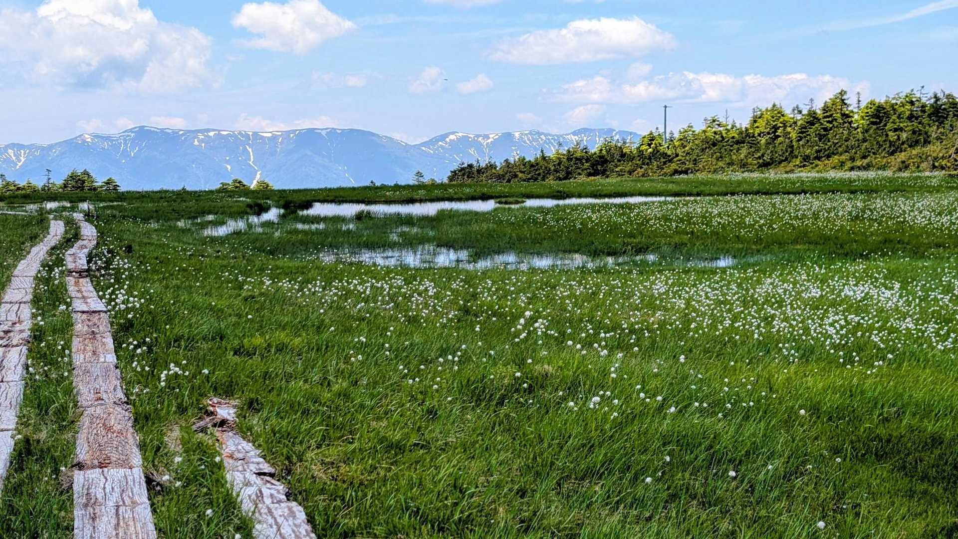 馬坂峠登山口-台倉高山-帝釈山-田代山 周回コースの写真