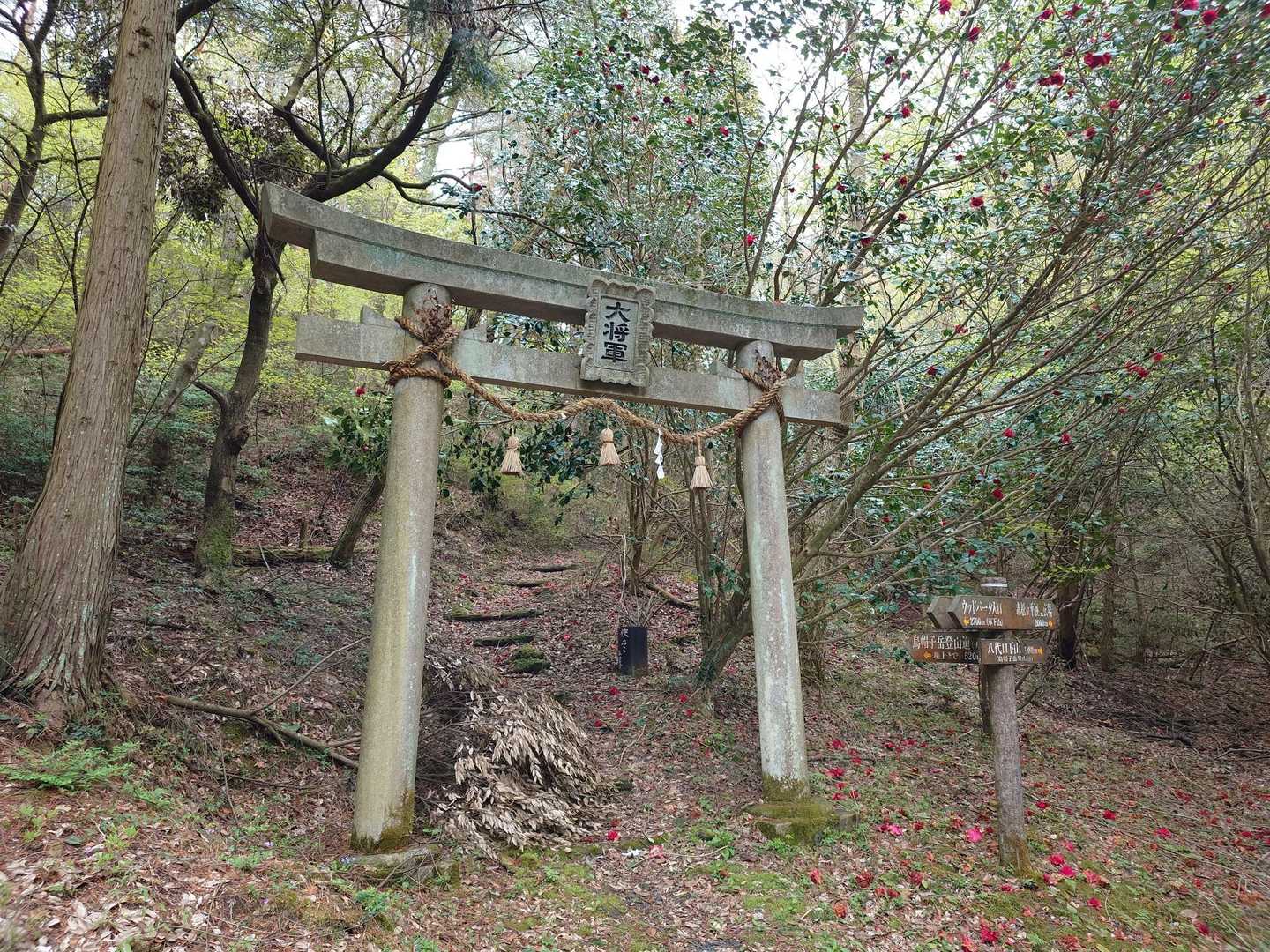 ここの手前に車置けます🚙
