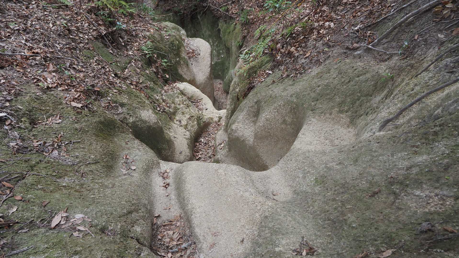 食べ過ぎ測定しながら下山😄