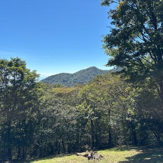 つつじケ峰の開たところ。ツツジもありますね。