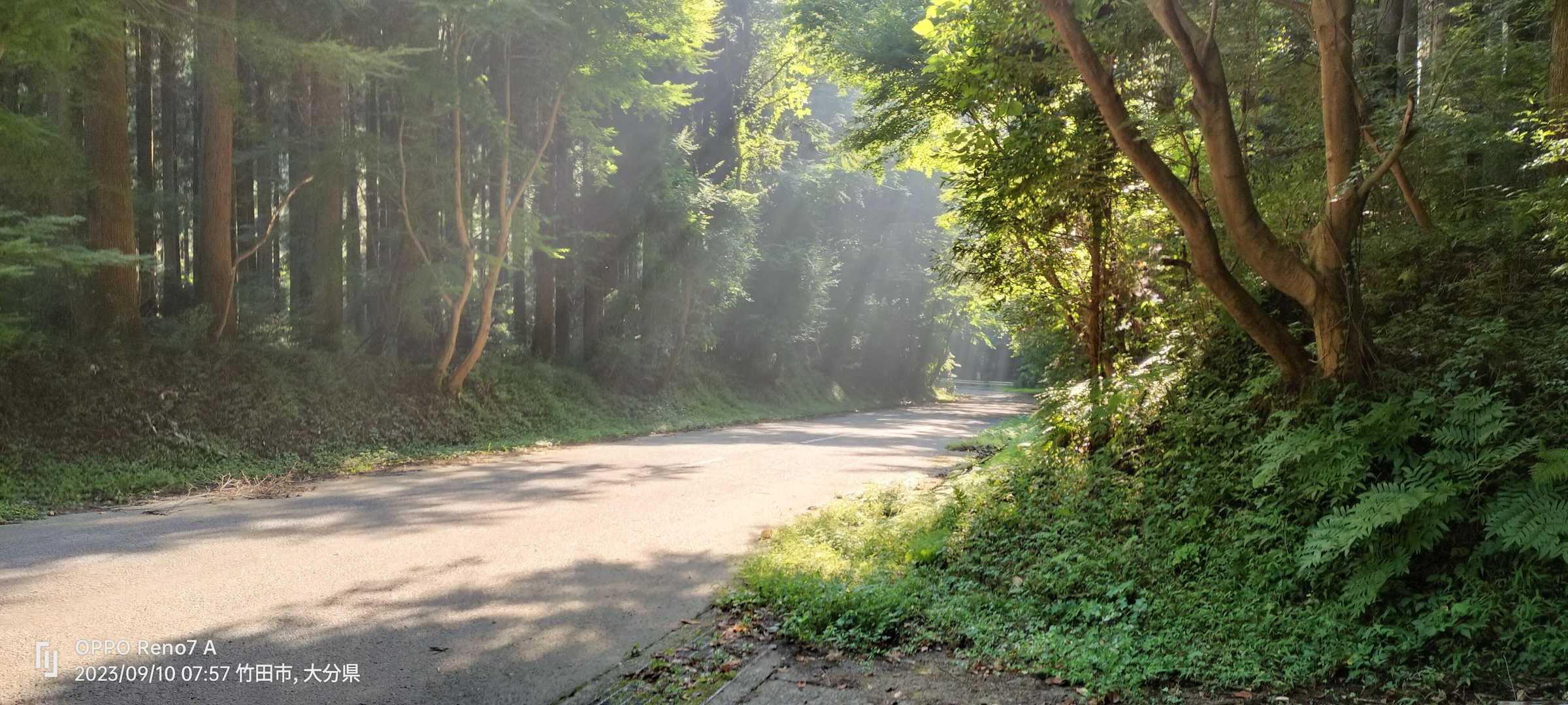 陽光のさす中、スタートです