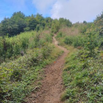 気持ち良い道になりました🤗