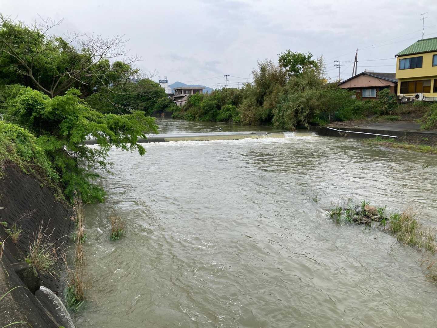 広川沿いに
昨日の雨☔️で増水してます。