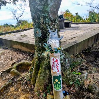 西峰３４４m(最高峰)
トトロが疲れを癒やしてくれる‼️😆💕✨