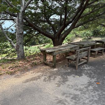 承福寺さんに駐車させていただきました。