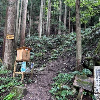 バリケードから20分歩いて登山口へ