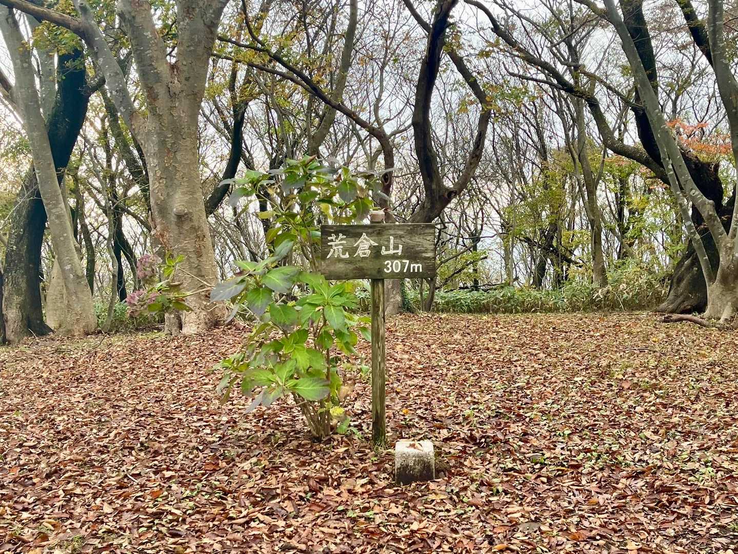 荒倉山登頂💪　ご無沙汰してました😌