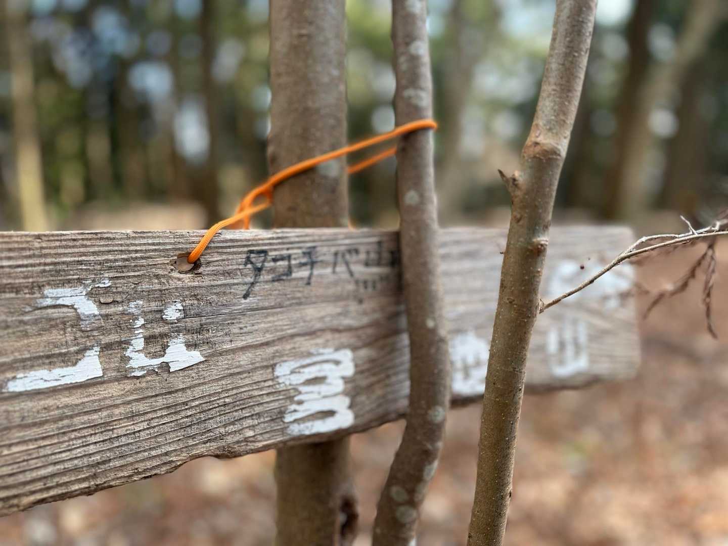 寄バス停-シダンゴ山-タコチバ山 周回コースの写真