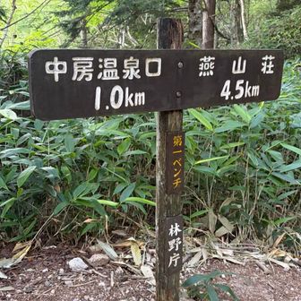 第一ベンチ