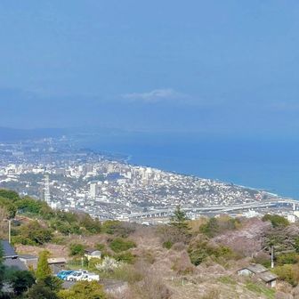 小田原の街並みが臨めます、