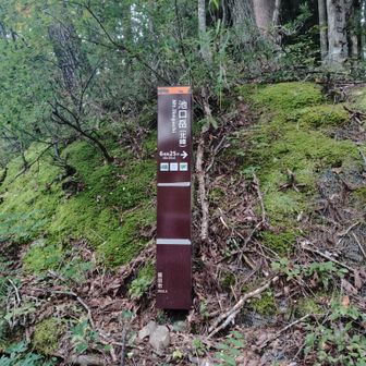 池口岳登山口