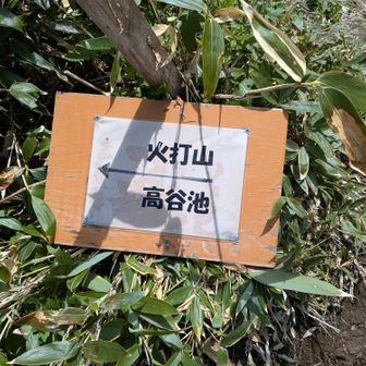 さあ、火打山向かおう！