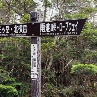 雨池山　登り返し　しんどかった💦