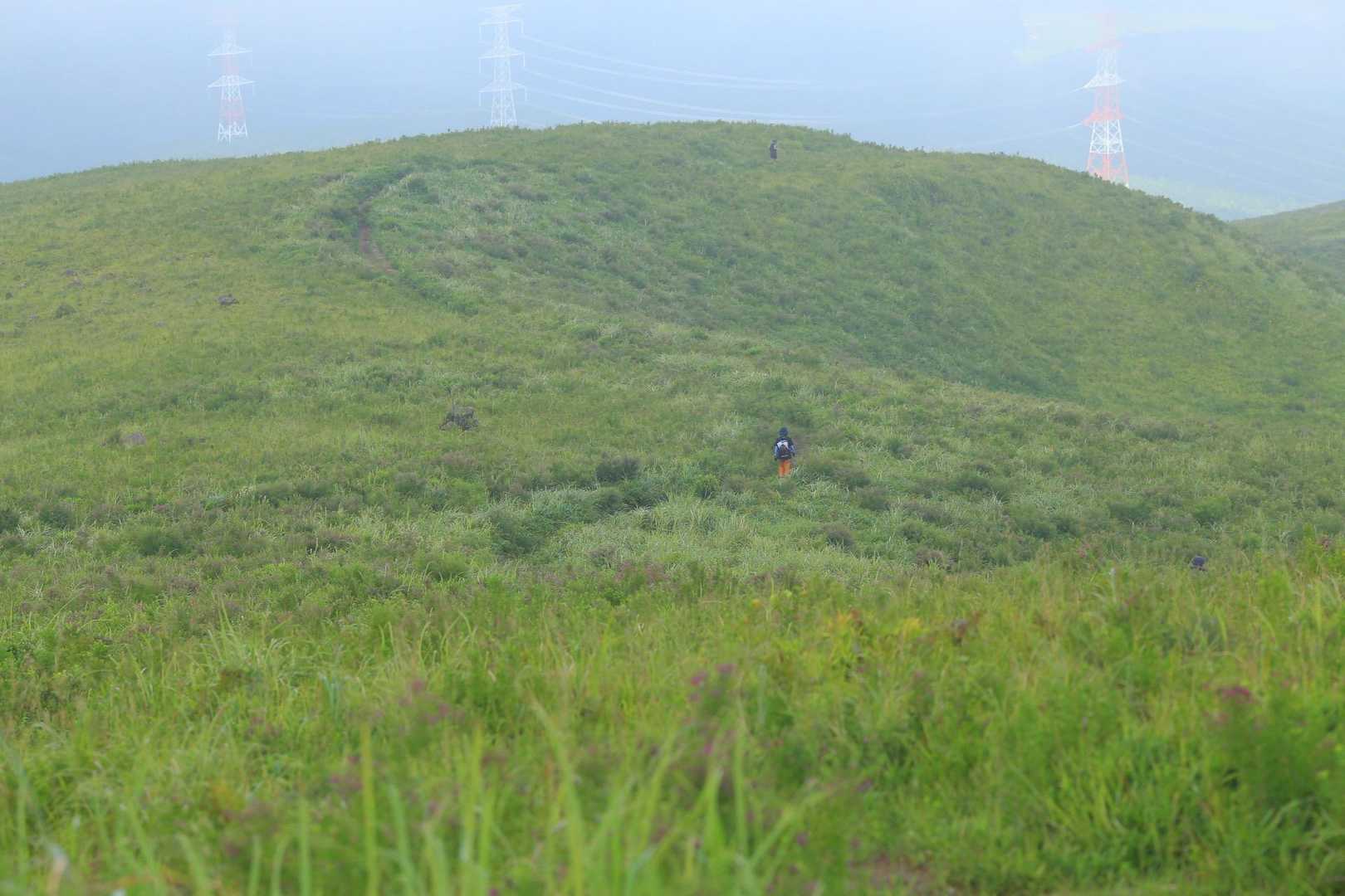 次もお会い出来たら、また後ろ姿を撮りますね📸