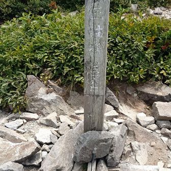 三鈷峰 山頂