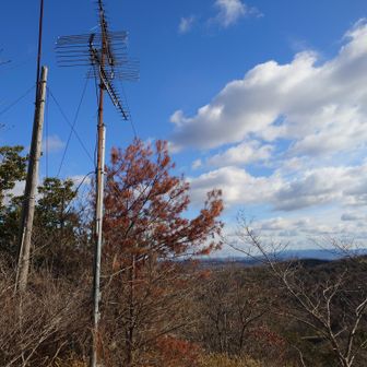 山頂からいったん下り少し登り返したら、
通称「アンテナ山」ピーク
アンテナ山の標識は無いのですかね？
