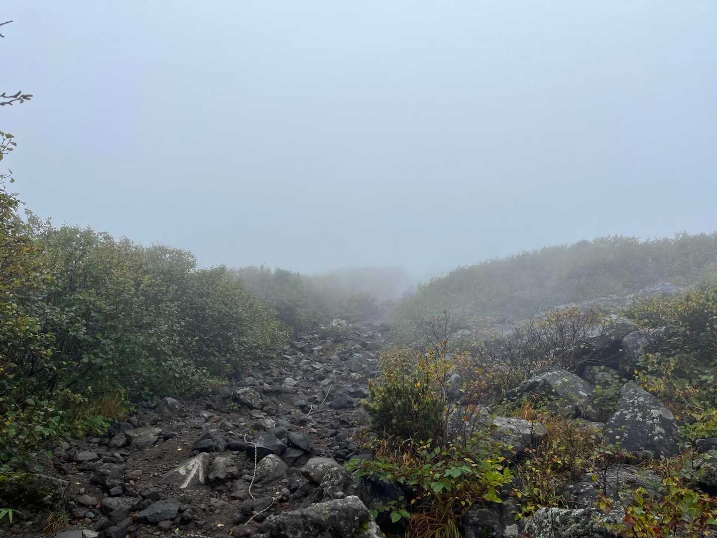 今日は自分以外ソロ2名だけ
雨も登山のうち(最近降られてばっかり)