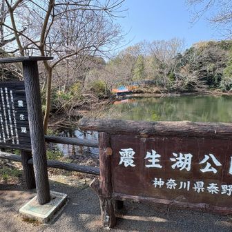 関東大震災で渋沢丘陵の一部が崩れて出来たとの事