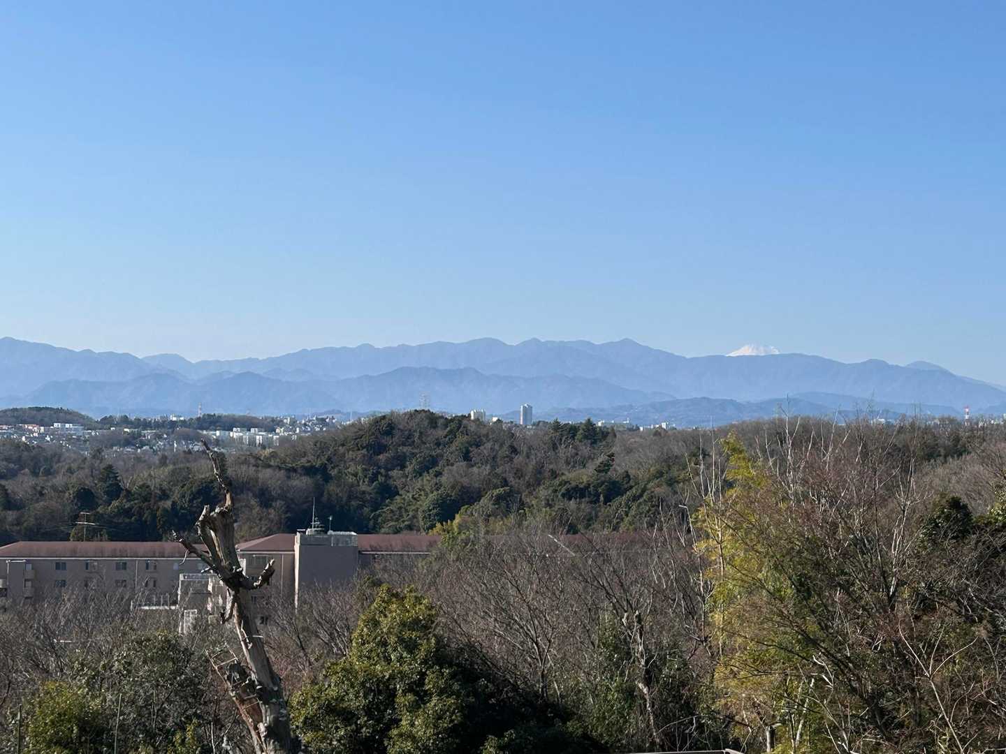 うっすらと富士山見えますが、今日は遠いです🗻