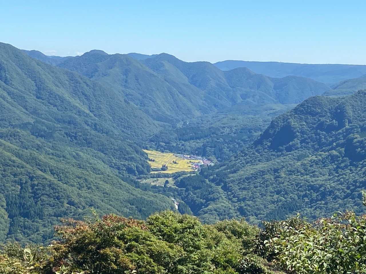 急に開けます。