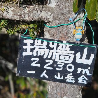 無事カエルくんも