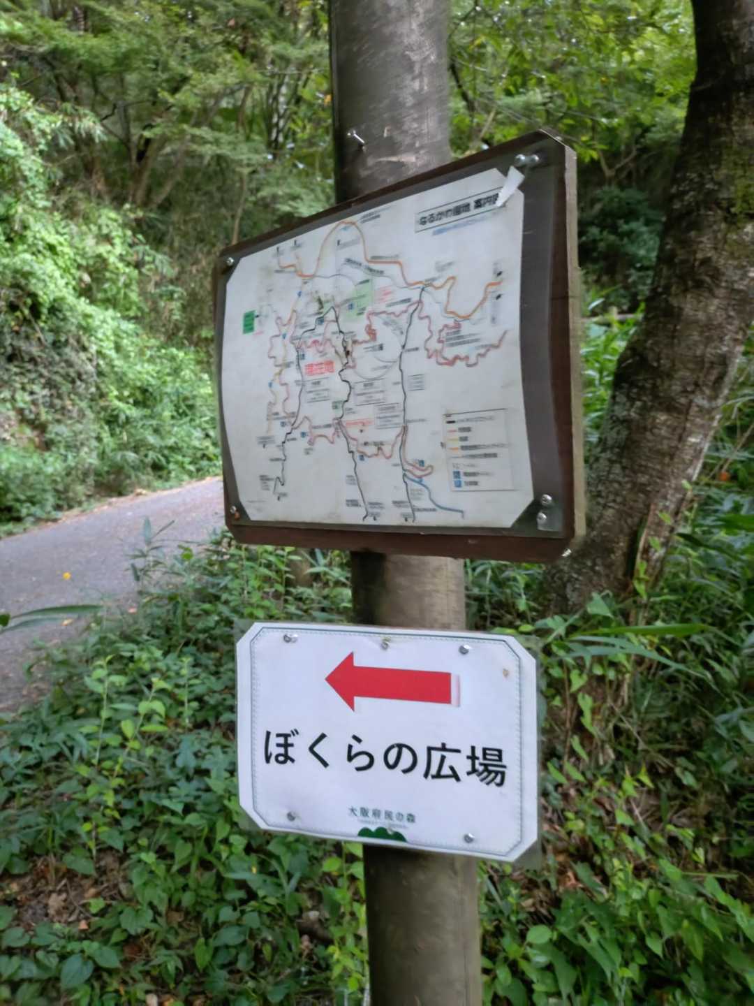 ぼくらの広場までもう少し💪