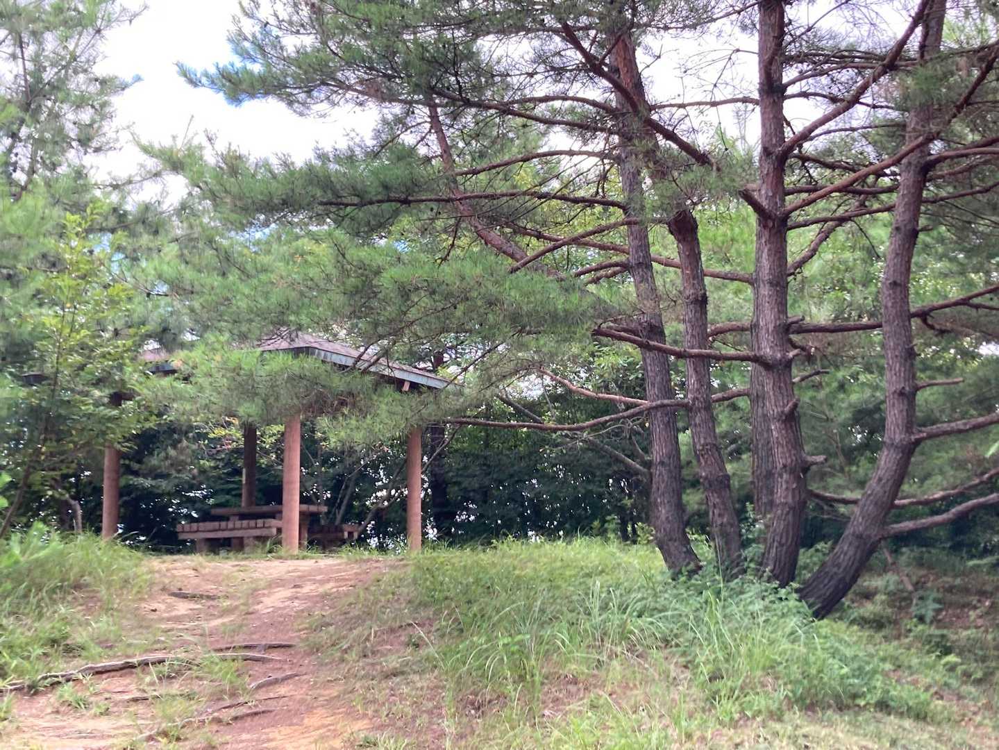 第三東屋で休みます