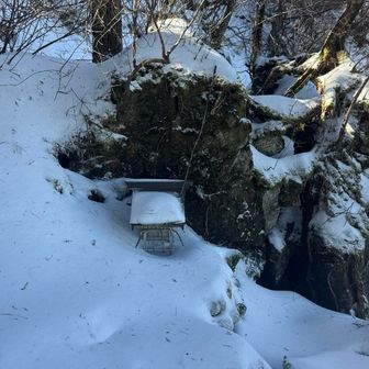 久しぶりにきた豊受神社⛩️