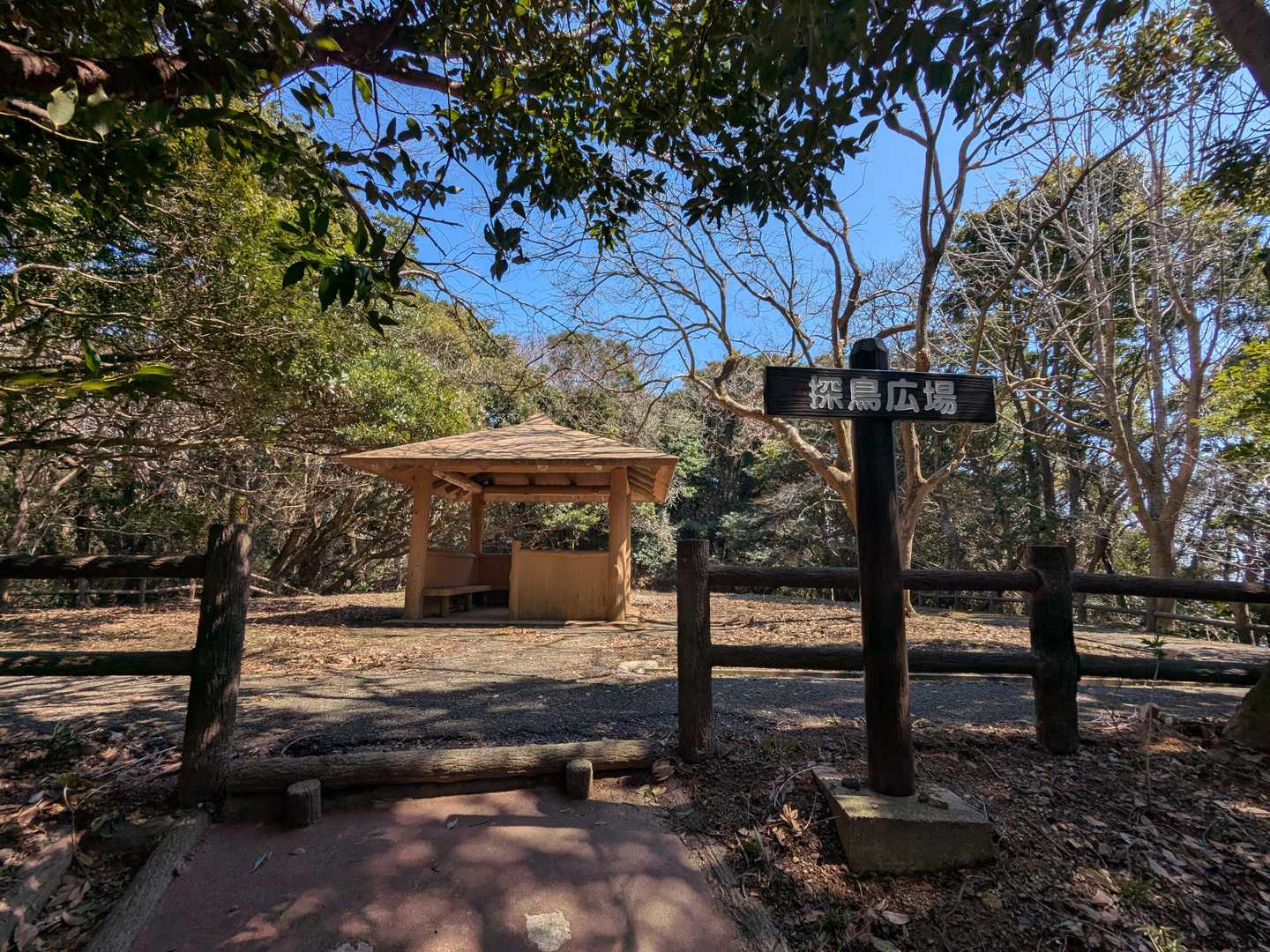 上ノ山到着
