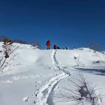 山頂は賑やかでしたー😆
