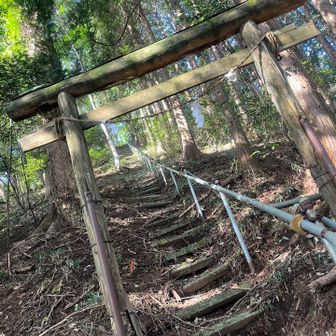 ずぅーと階段。