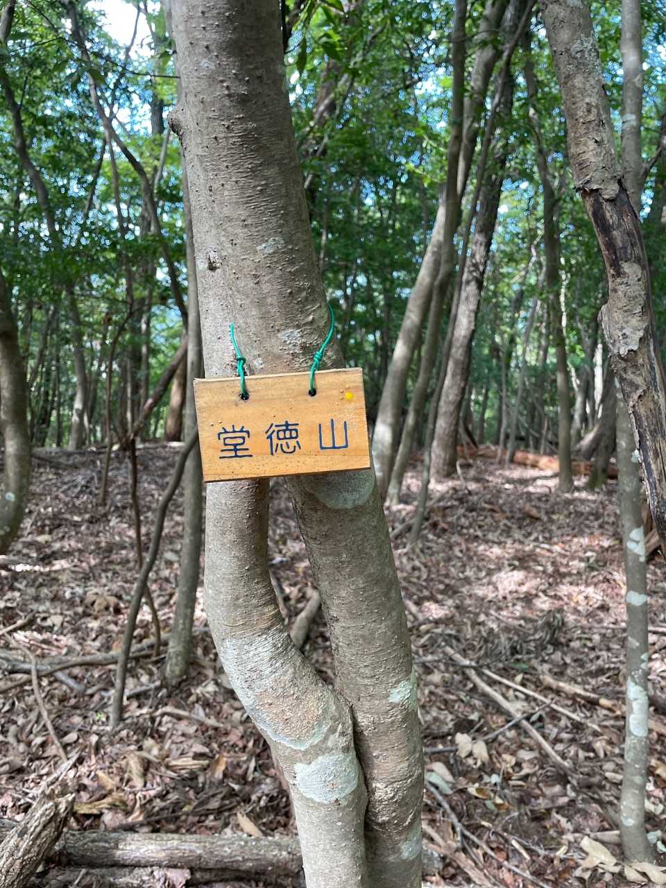 堂徳山山頂です。