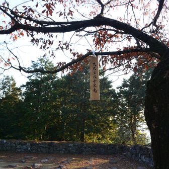 山頂付近では
スズメバチにご注意を…