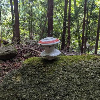 陶器製のキノコを見つけたぞぉ（棒