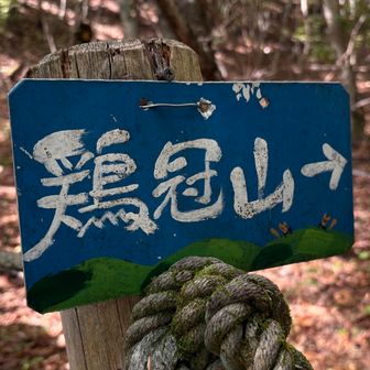 いざ