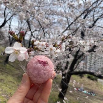 セブンの桜餅