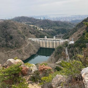 妙号岩より"石井ダムと神戸の街並み"②✨️