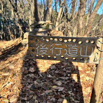 手作り看板がかわいい