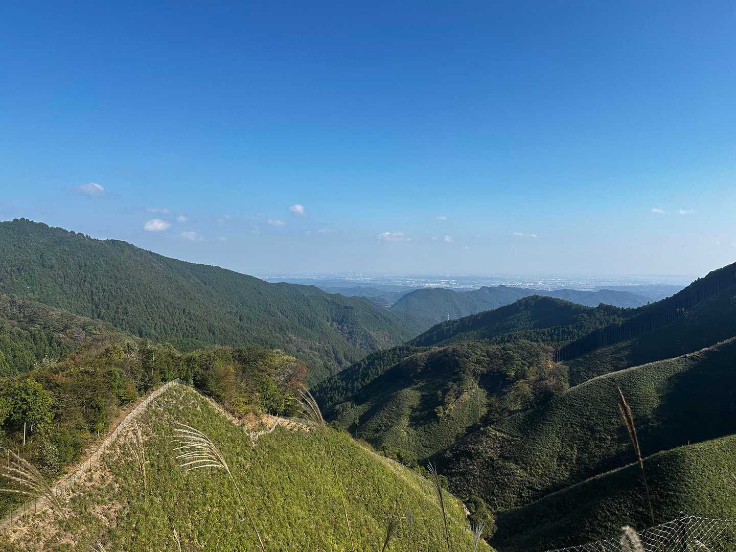 高水三山縦走コースの写真