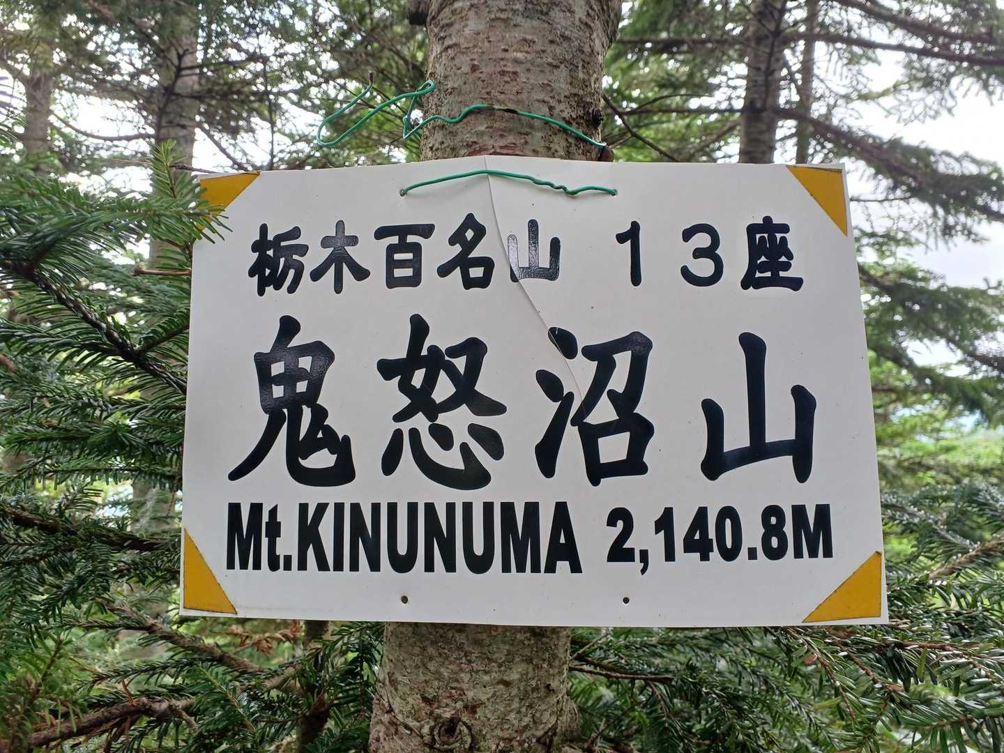 ２度目の登頂
「ぐんま百名山」の山名板がほしい