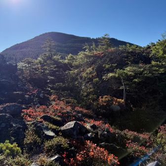 坪庭、最高でした