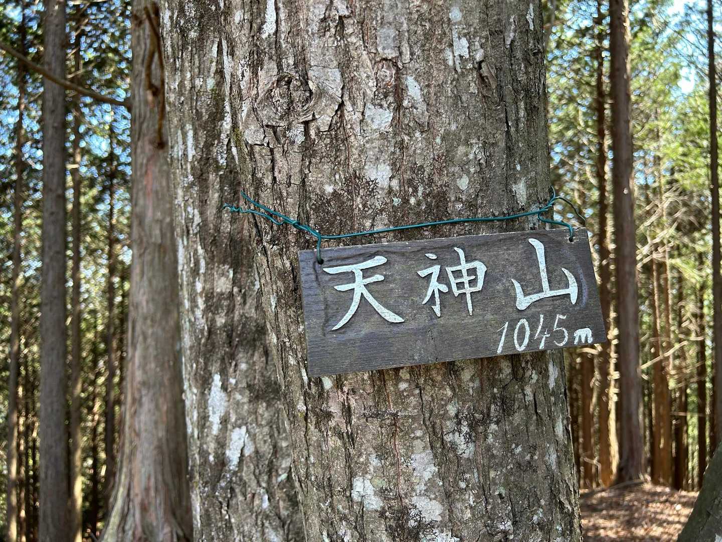 ピーク眺望なし