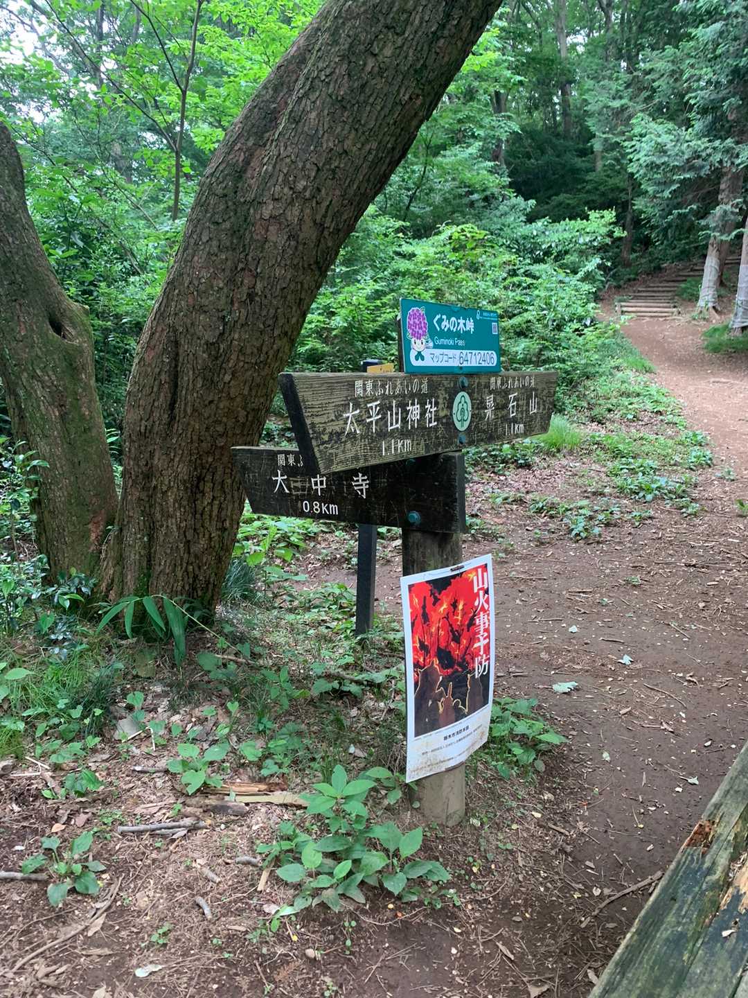 分岐(σvσ＊)o。 ここで、大中寺へ👍