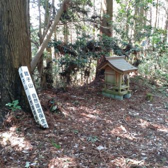 鷲子山山頂到着