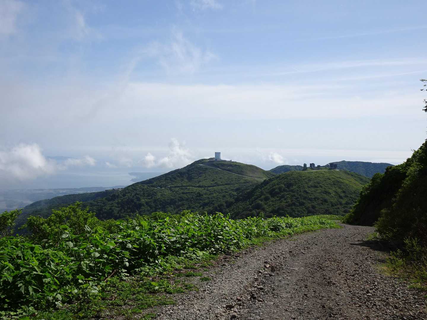 下山は 砂利道というか林道みたいなところをひたすら下りて行きます
暑い🥵